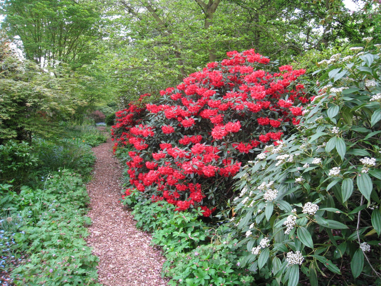 King's Arms Garden, Ampthill, Bedfordshire, MK45 2PP National Garden